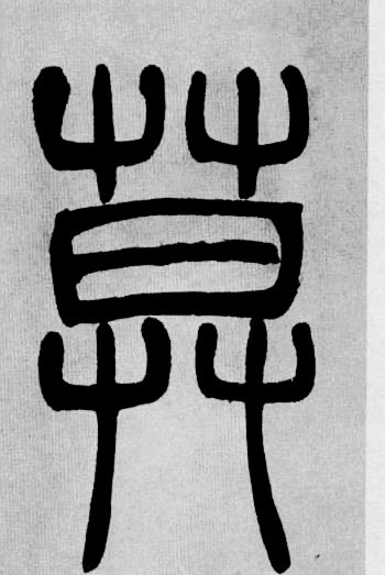 �������ϸ����