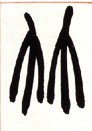 �������ϸ����