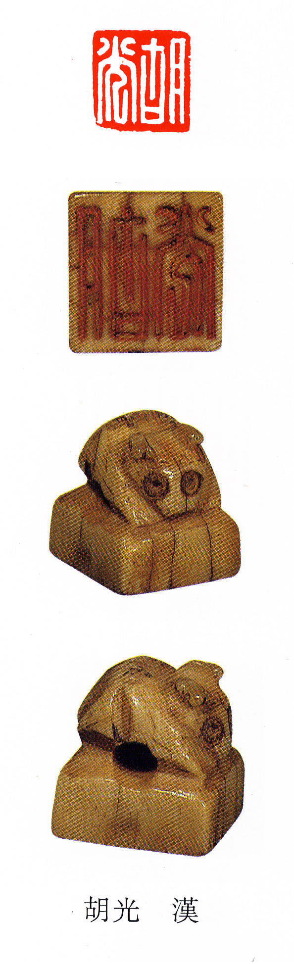 �������ϸ����