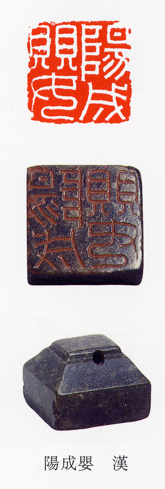 �������ϸ����