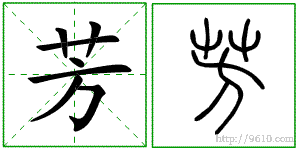 �������ϸ����