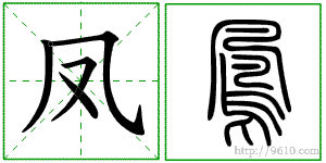 �������ϸ����