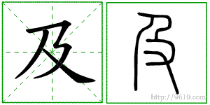 �������ϸ����