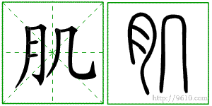 �������ϸ����