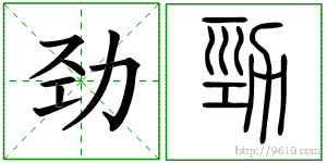 �������ϸ����