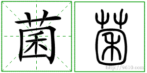 �������ϸ����