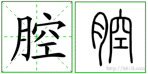 �������ϸ����