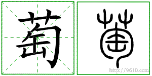 �������ϸ����