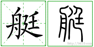 �������ϸ����