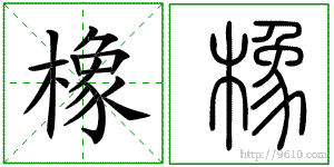 �������ϸ����