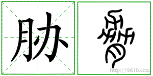 �������ϸ����