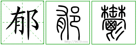 �������ϸ����