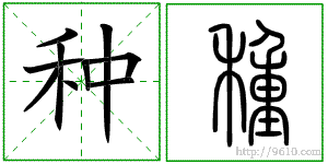 �������ϸ����