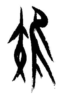 �������ϸ����