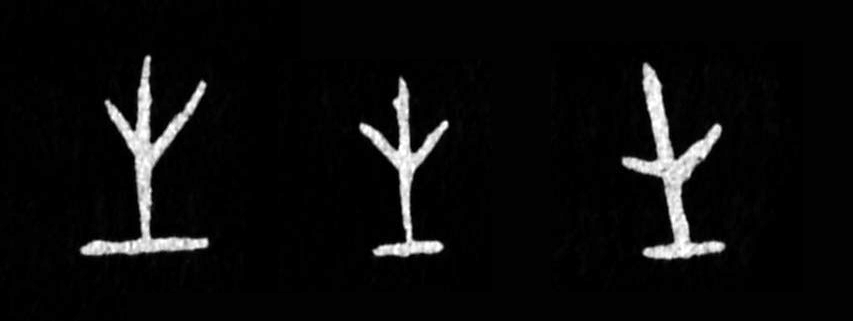 �������ϸ����