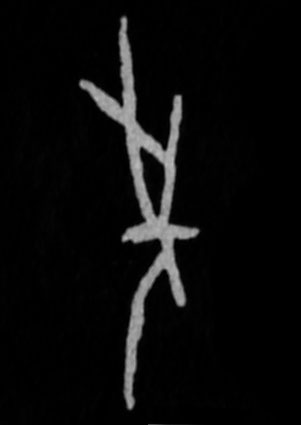 �������ϸ����