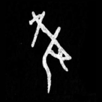 �������ϸ����