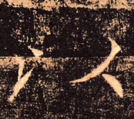 �������ϸ����