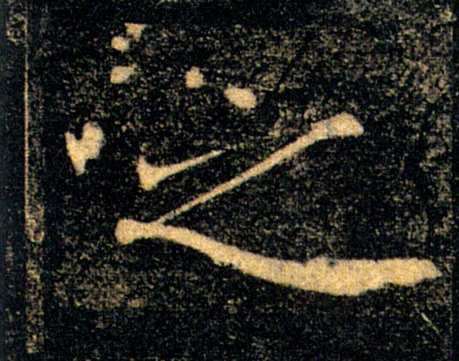 �������ϸ����