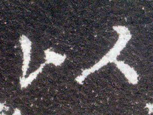 �������ϸ����