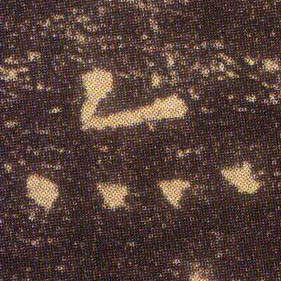 �������ϸ����