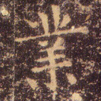 �������ϸ����