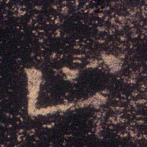 �������ϸ����