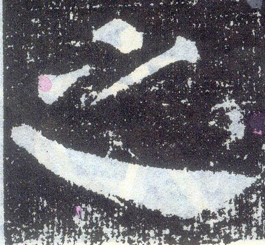 �������ϸ����