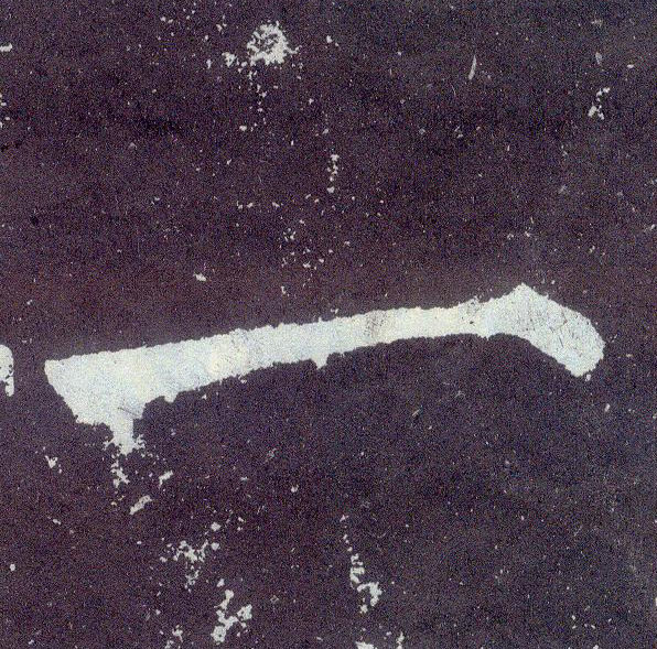 �������ϸ����