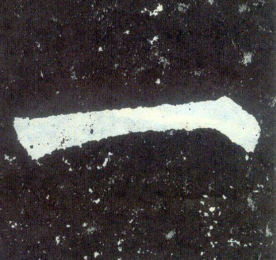 �������ϸ����