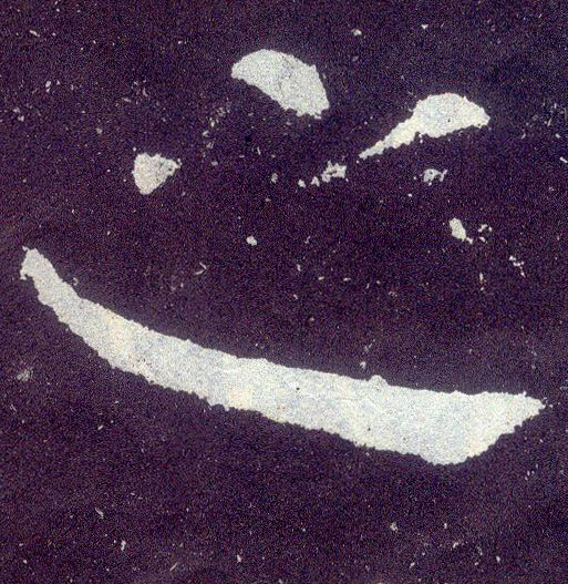 �������ϸ����