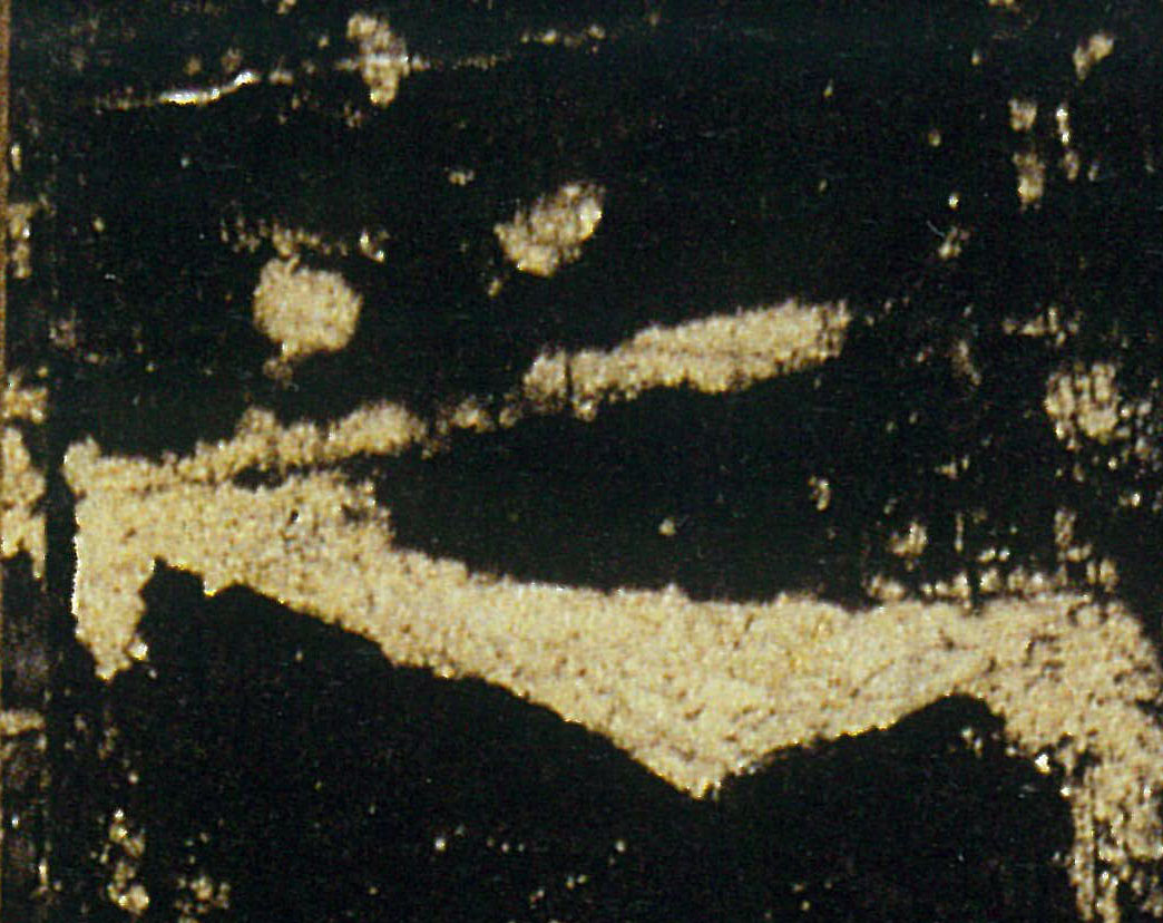 �������ϸ����