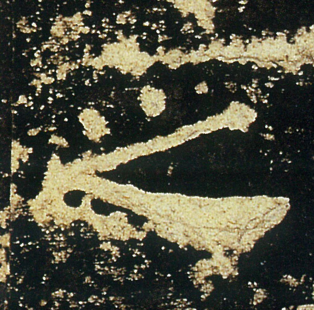 �������ϸ����