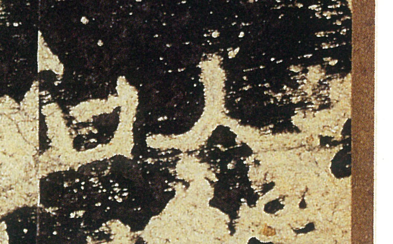 �������ϸ����