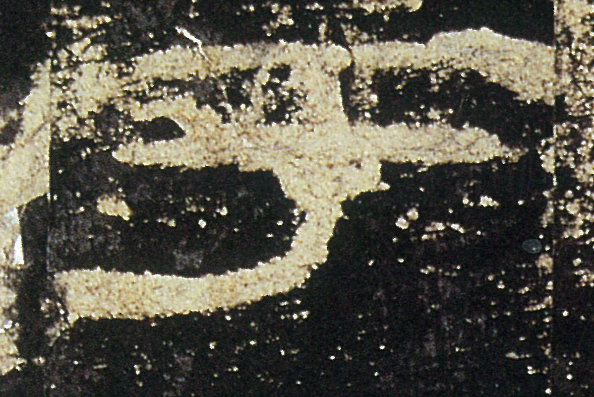 �������ϸ����