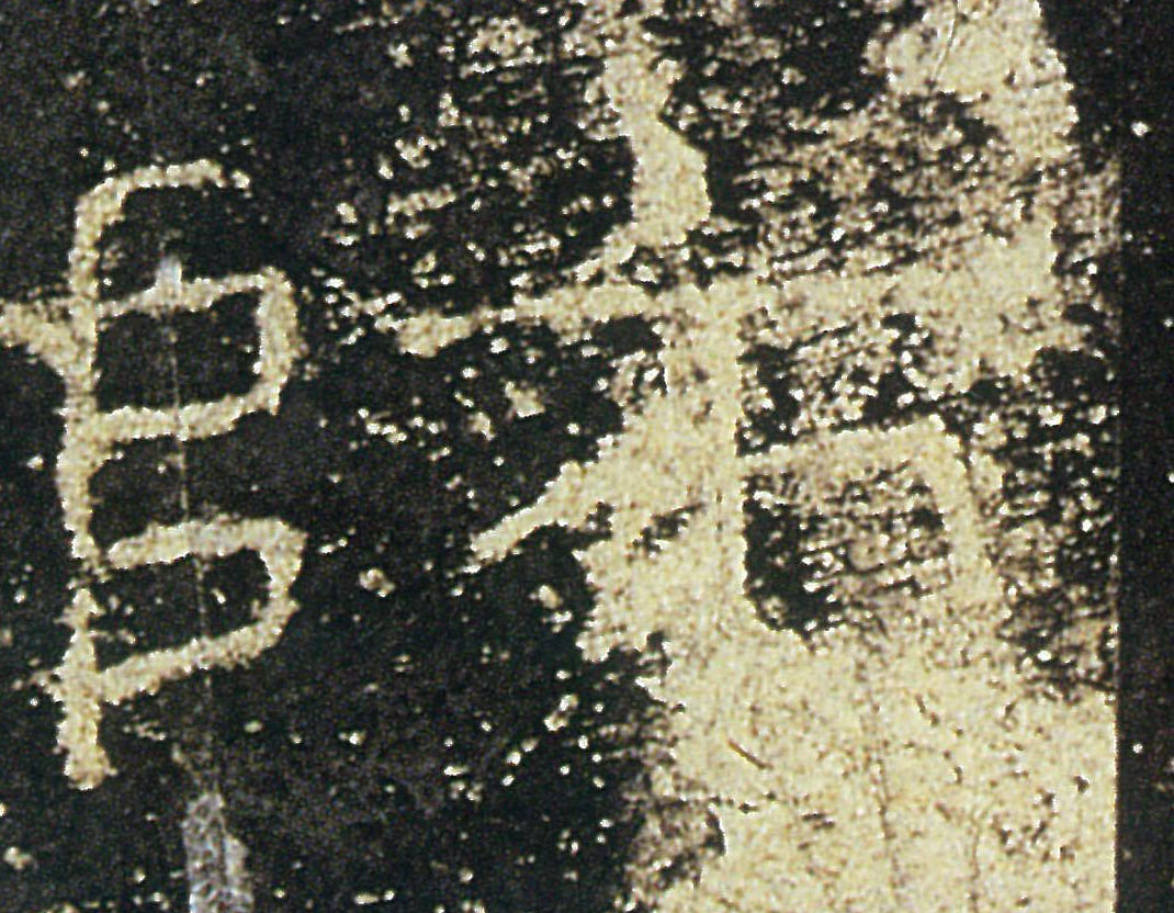 �������ϸ����