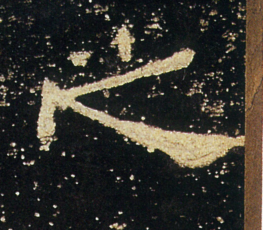 �������ϸ����