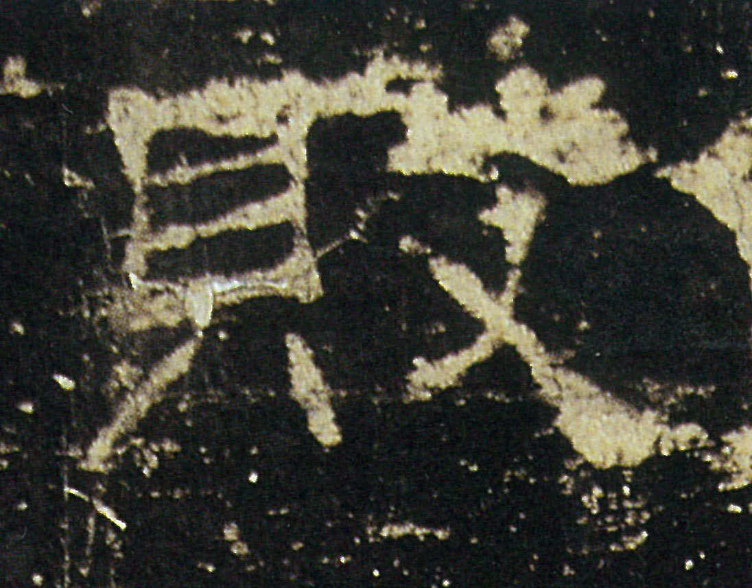 �������ϸ����