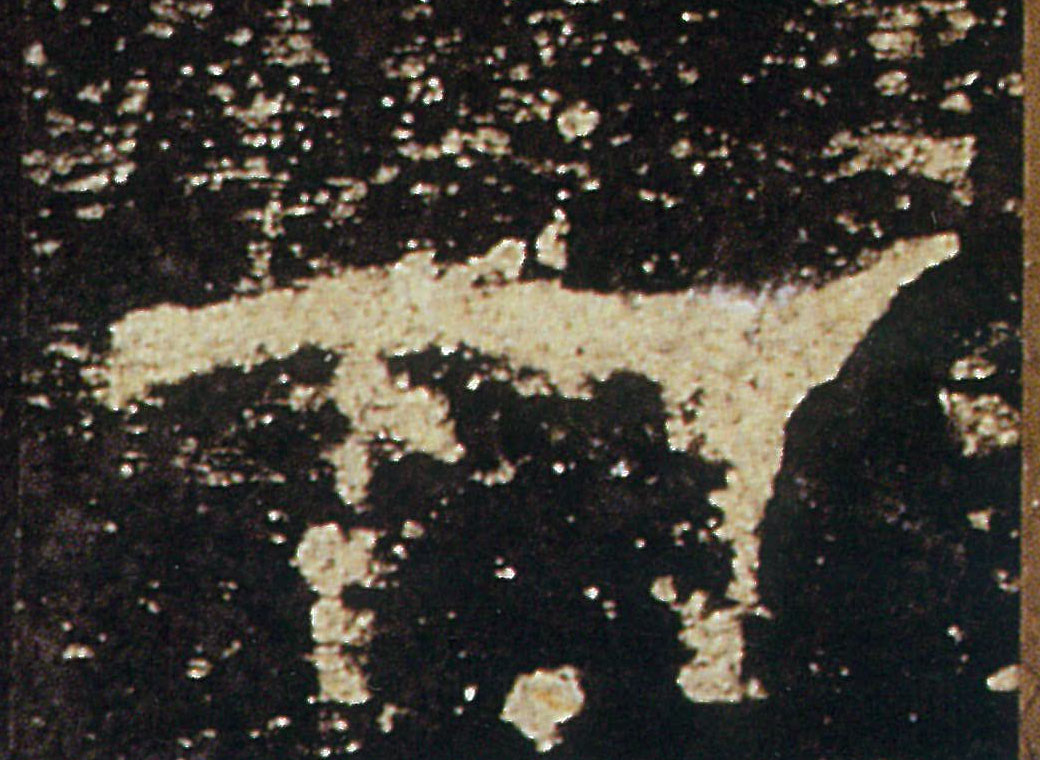 �������ϸ����