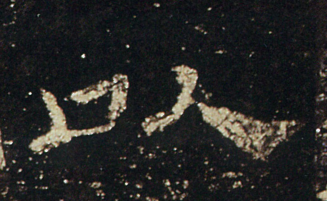 �������ϸ����