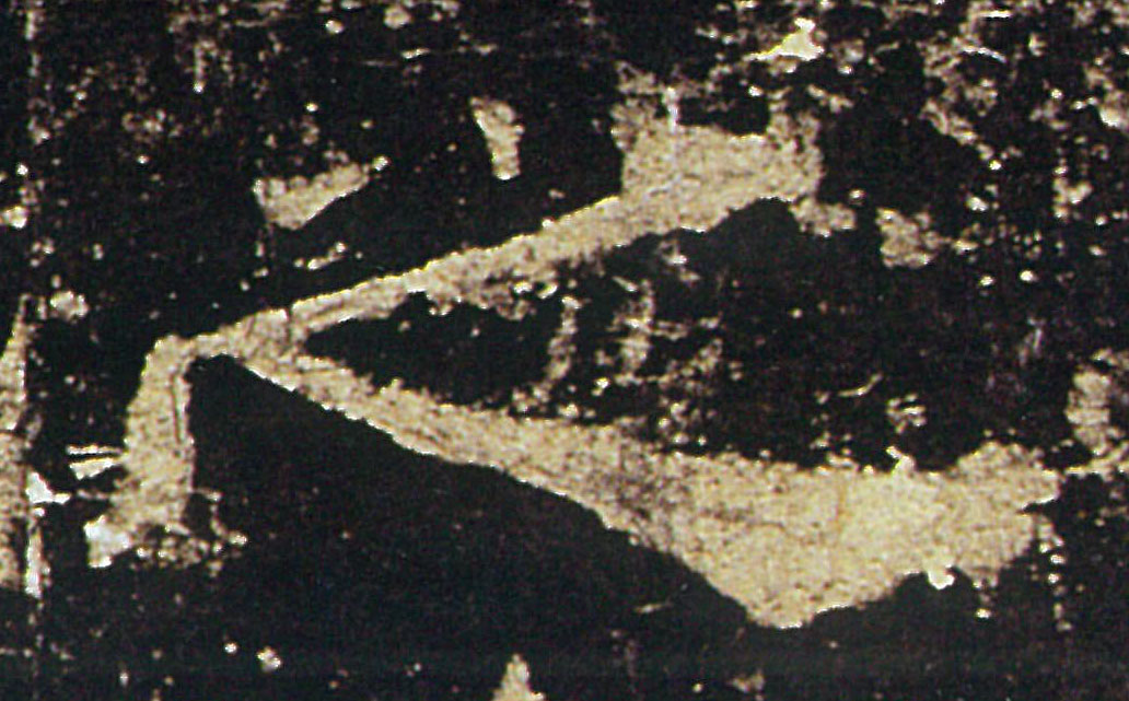 �������ϸ����