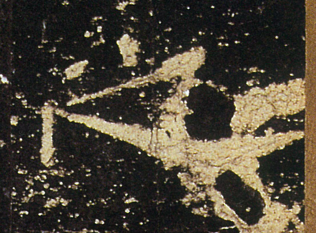 �������ϸ����