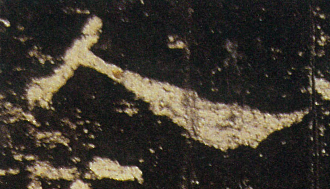 �������ϸ����