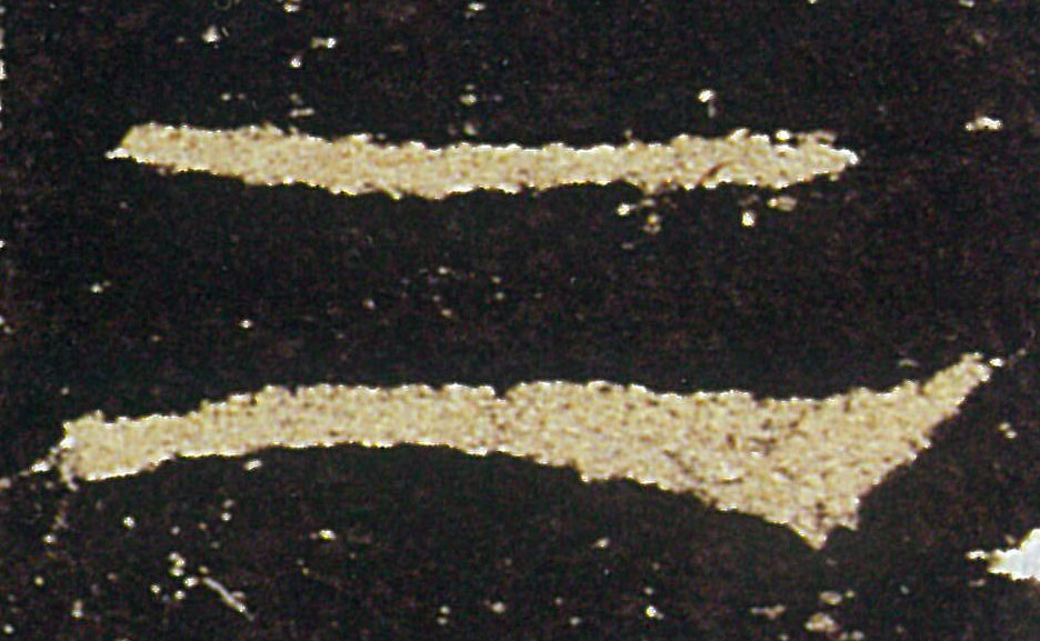 �������ϸ����