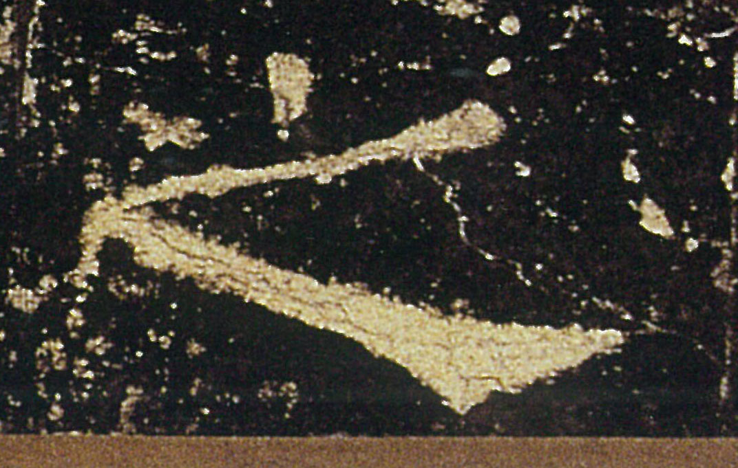 �������ϸ����