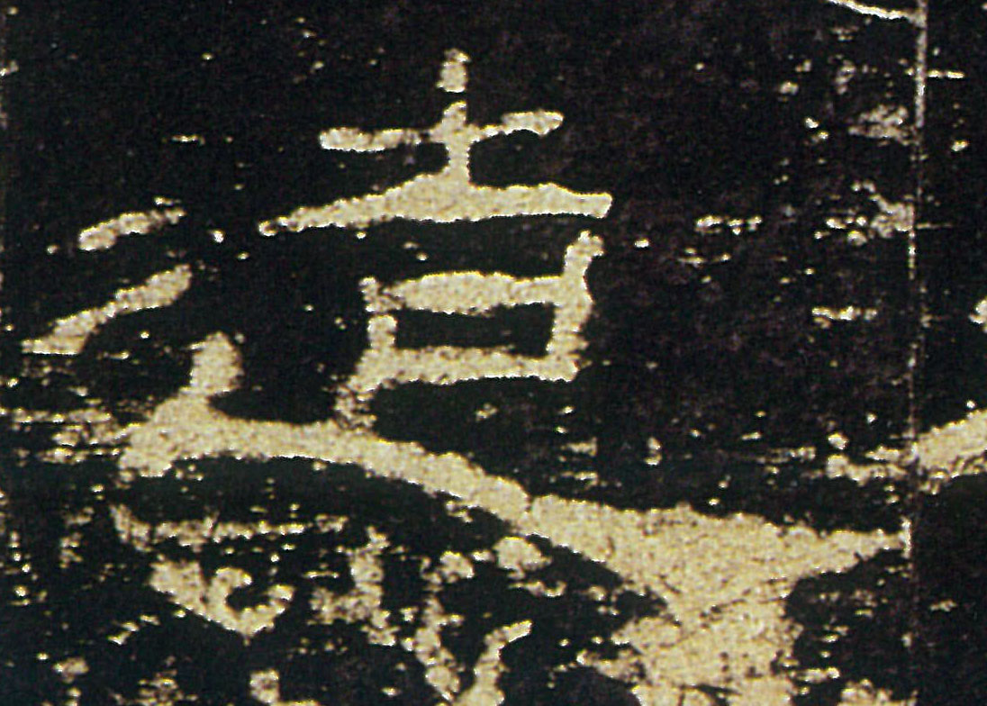 �������ϸ����