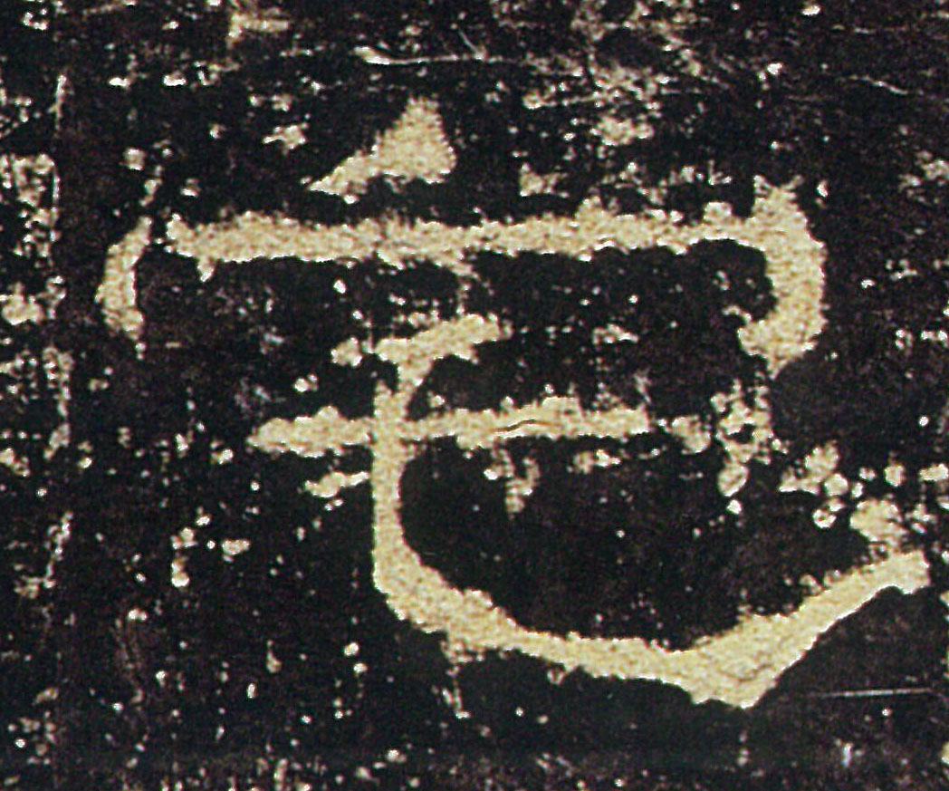 �������ϸ����