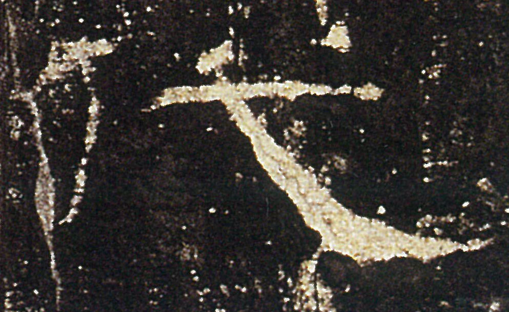 �������ϸ����