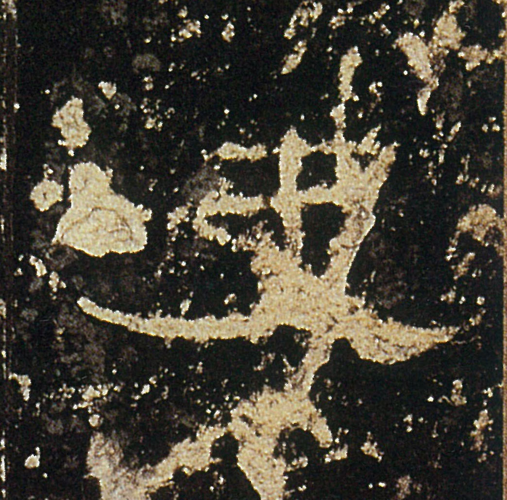 �������ϸ����