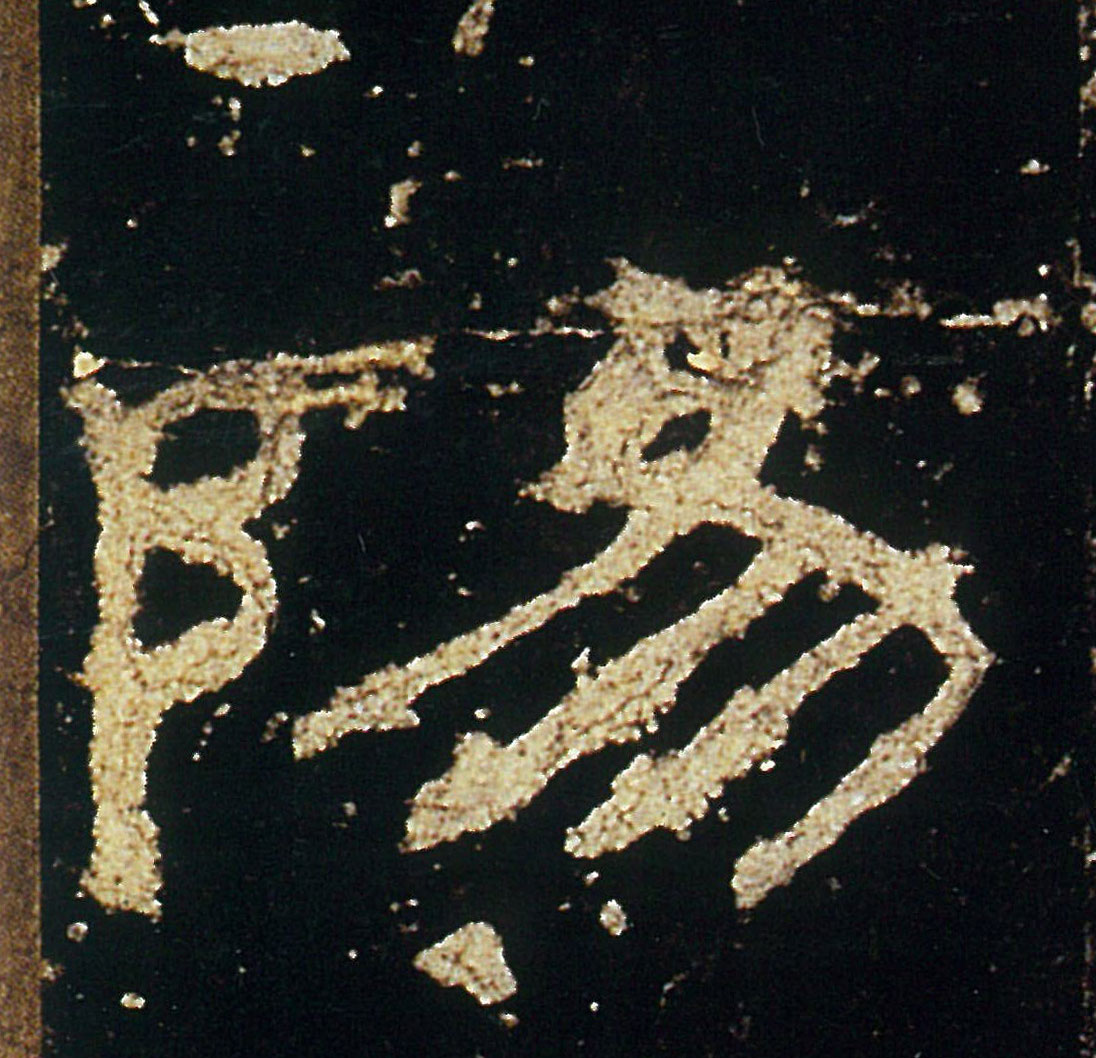 �������ϸ����